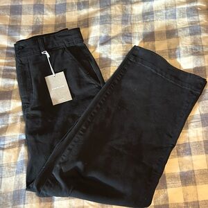 NWT Everlane Utility wide leg pant
